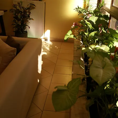 Yria Ζάκυνθος Πόλη